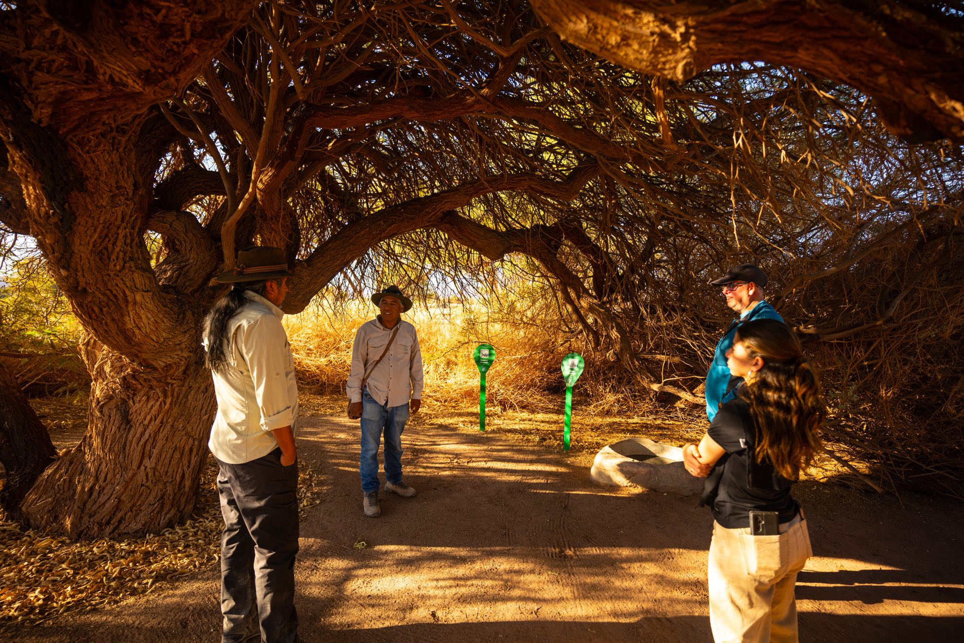 caminata bosque