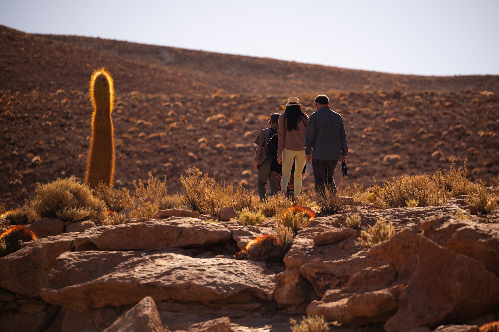 caminata cactus