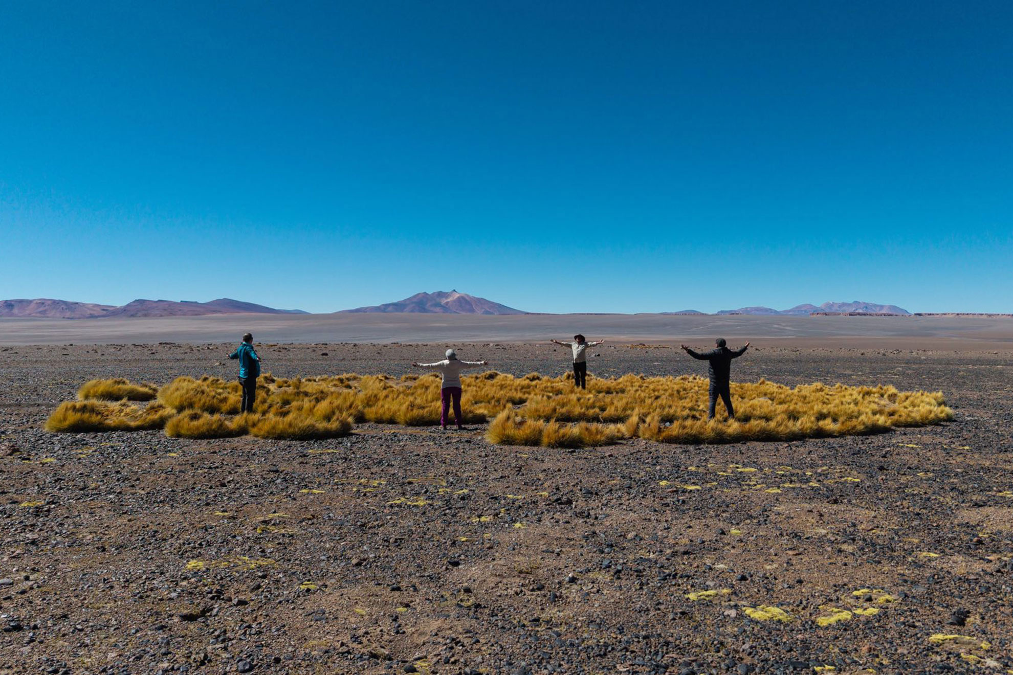 contemplacion-en-el-campo
